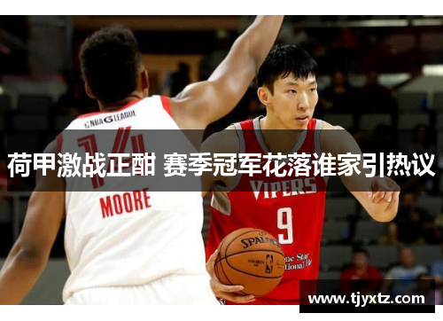 荷甲激战正酣 赛季冠军花落谁家引热议