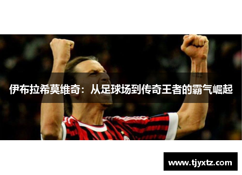 伊布拉希莫维奇：从足球场到传奇王者的霸气崛起