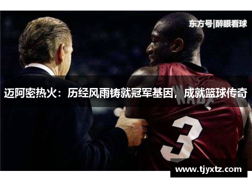迈阿密热火：历经风雨铸就冠军基因，成就篮球传奇